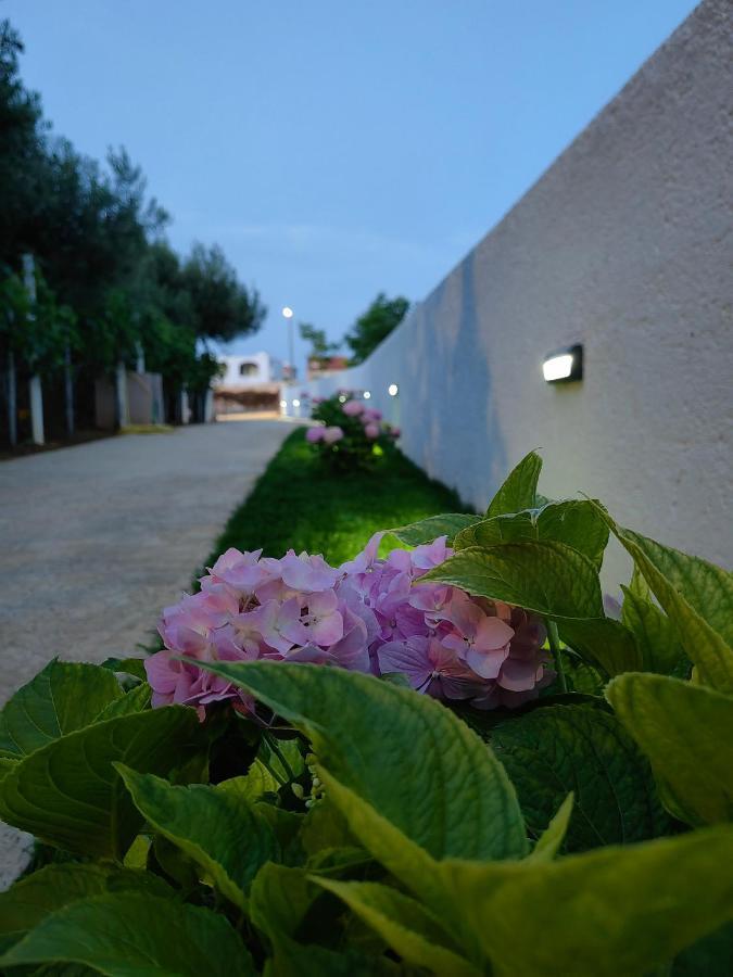 Apartment White Pearl Ražanac 외부 사진